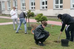 IMG_20260320_114405