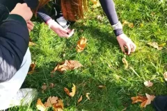 292595ed-82a3-4082-b8e8-483f44a4cbed