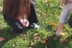 7ba715c8-7d14-49de-9e8a-722adb46a7a2