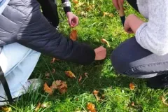 7dc47090-96dc-40eb-8266-25d641bdbe5d