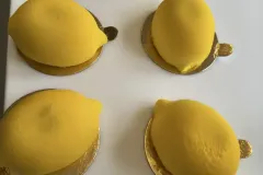 51b73973-ff3c-425c-9c6e-6f9ebc855676