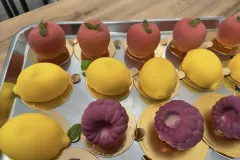 d17d4f0a-f337-4efb-9a00-3cc86cf0ff16