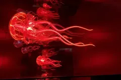 B63D428A-1D28-45DA-B62A-1F1CBE5B4E68