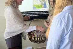 634e22a3-a274-4076-823c-fa7de1440349