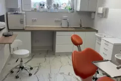 9e6a015a-0c29-468a-880b-ec560ec2edd2-1743155008576