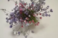 489700916_1260971268704435_6059979146427495971_n