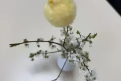 490998937_2480490585635587_1126961044572789646_n