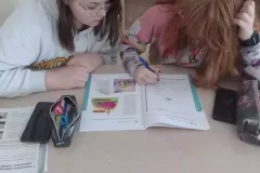 IMG_20250331_123346077