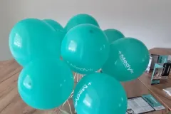 0d58ba55-227a-45fb-9155-1c335dc25570