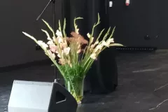 IMG_20240902_093503412_MP