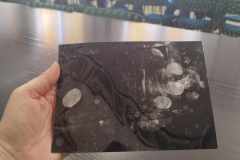 473684952_591054963780660_813494656299771630_n