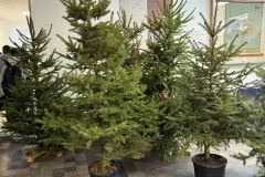 1a869b99-e27b-4dfa-974f-a512150c69e9