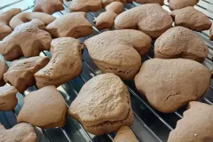 462639867_899239228999267_5599817173092742477_n