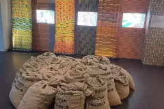 474774869_1341243096904020_2152541178594225251_n