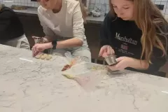 475418361_506809485777862_7289571447555125651_n