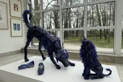 487783915_682474187666863_1619290380681229221_n