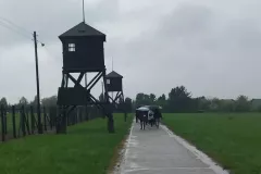 8975be7b-9986-4ea3-81b9-be87ace0deb5