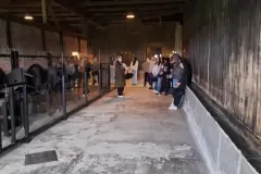 a39a8610-ebe3-42c9-9715-4dc083296228