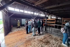 f22623ce-d75d-44a0-a4ea-038f06742bfc