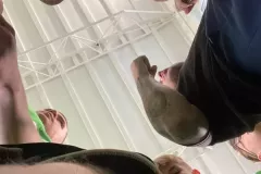 Messenger_creation_03E5574E-3BF7-4FDF-A4E1-62274E3258FC